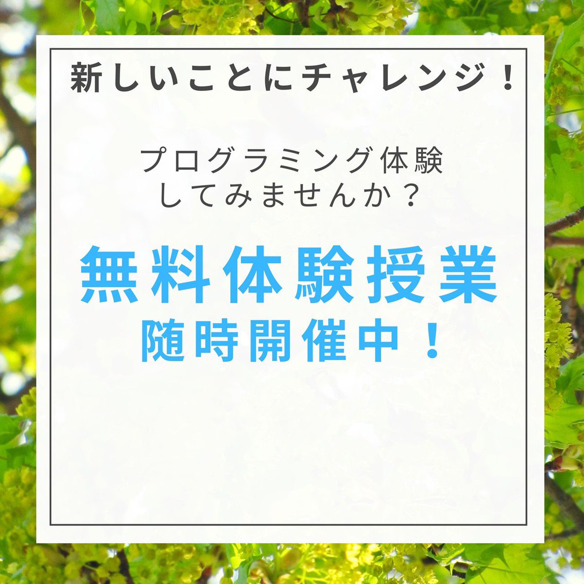 progmate2015's tweet image. 新学期スタート🌸
プログメイトでは、春の無料体験授業を随時開催中です!
周りと差をつけるならプログラミング!一度体験してみませんか?
もちろん、授業の見学のみでもOKです!
プログメイトでは、子供たちの希望や生活沿った時間で授業を受けることができます💻
お気軽にお問い合わせください!
