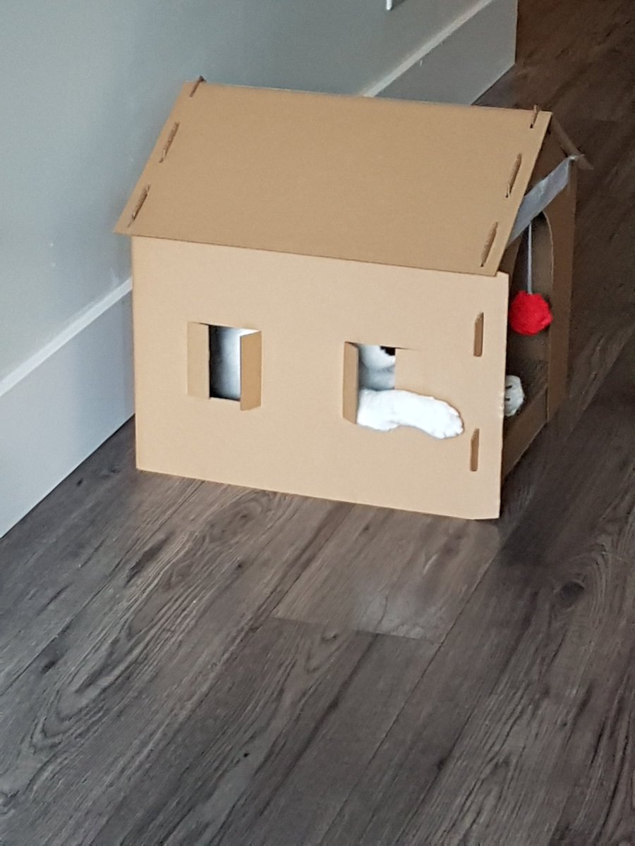 Another quality design from my favorite house designer.
 @PinnacleHomeDes 
#careerachievement
#kittyhouse