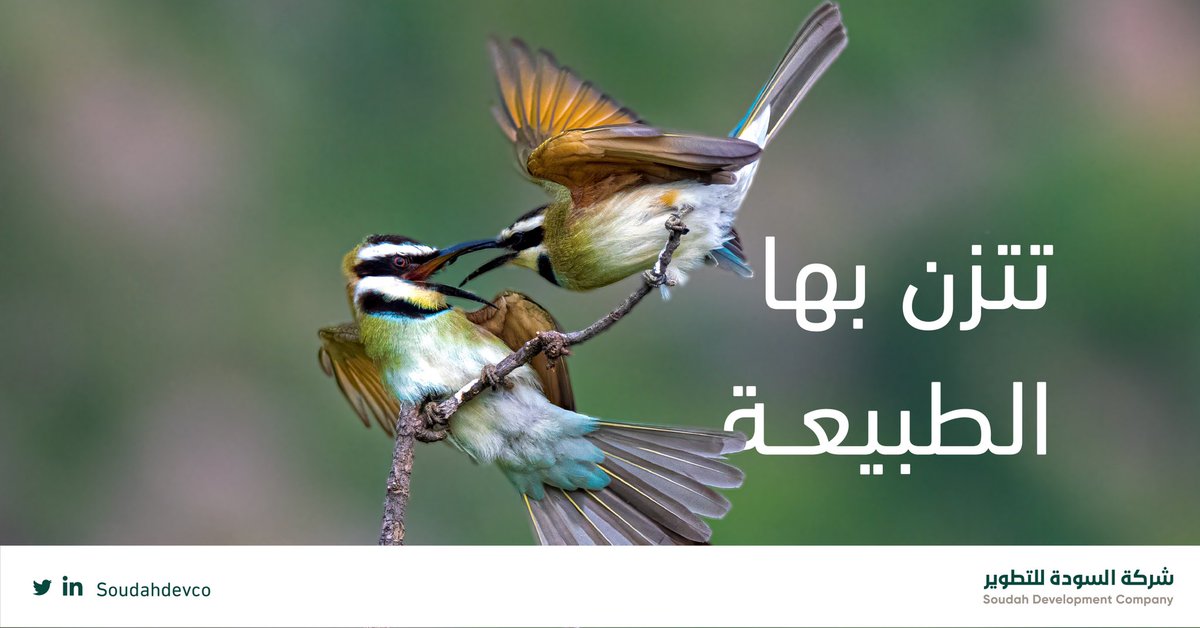 هجرة الطيور هي عنصر أساسي في التوازن البيئي وصحته، بنقلها للبذور والحبوب بين المناطق البعيدة، ومكافحة الحشرات والقوارض الضارة.
#اليوم_العالمي_للطيور_المهاجرة