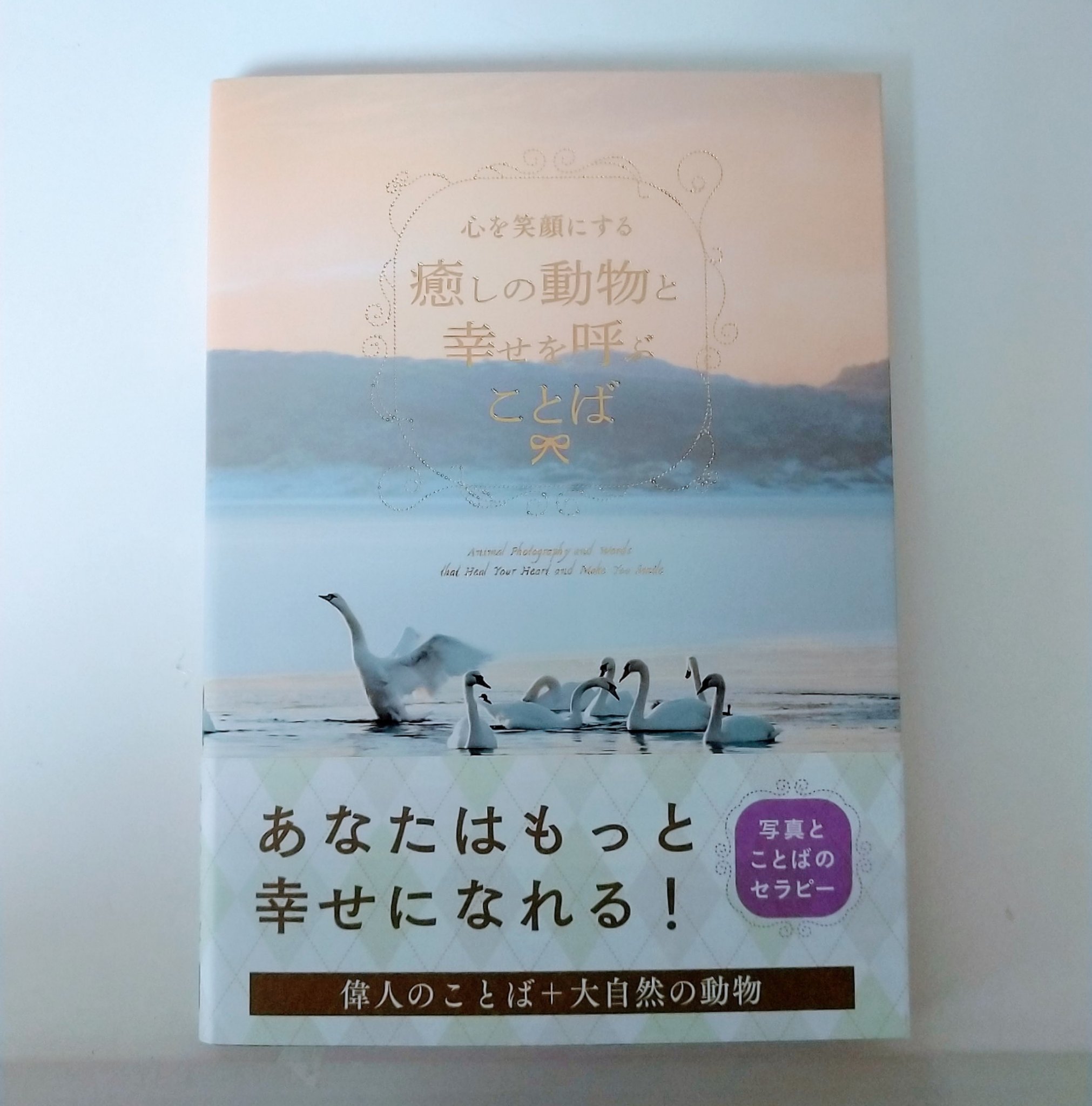 心を笑顔にする癒しの動物と幸せを呼ぶことば Twitter Search Twitter