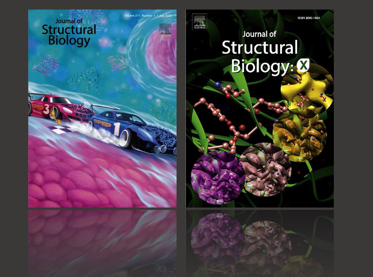 Journal of Structural Biology tweet media