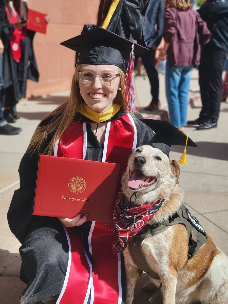theonetruebanan's tweet image. Charlie got his masters degree and is officially the smartest dog in the world