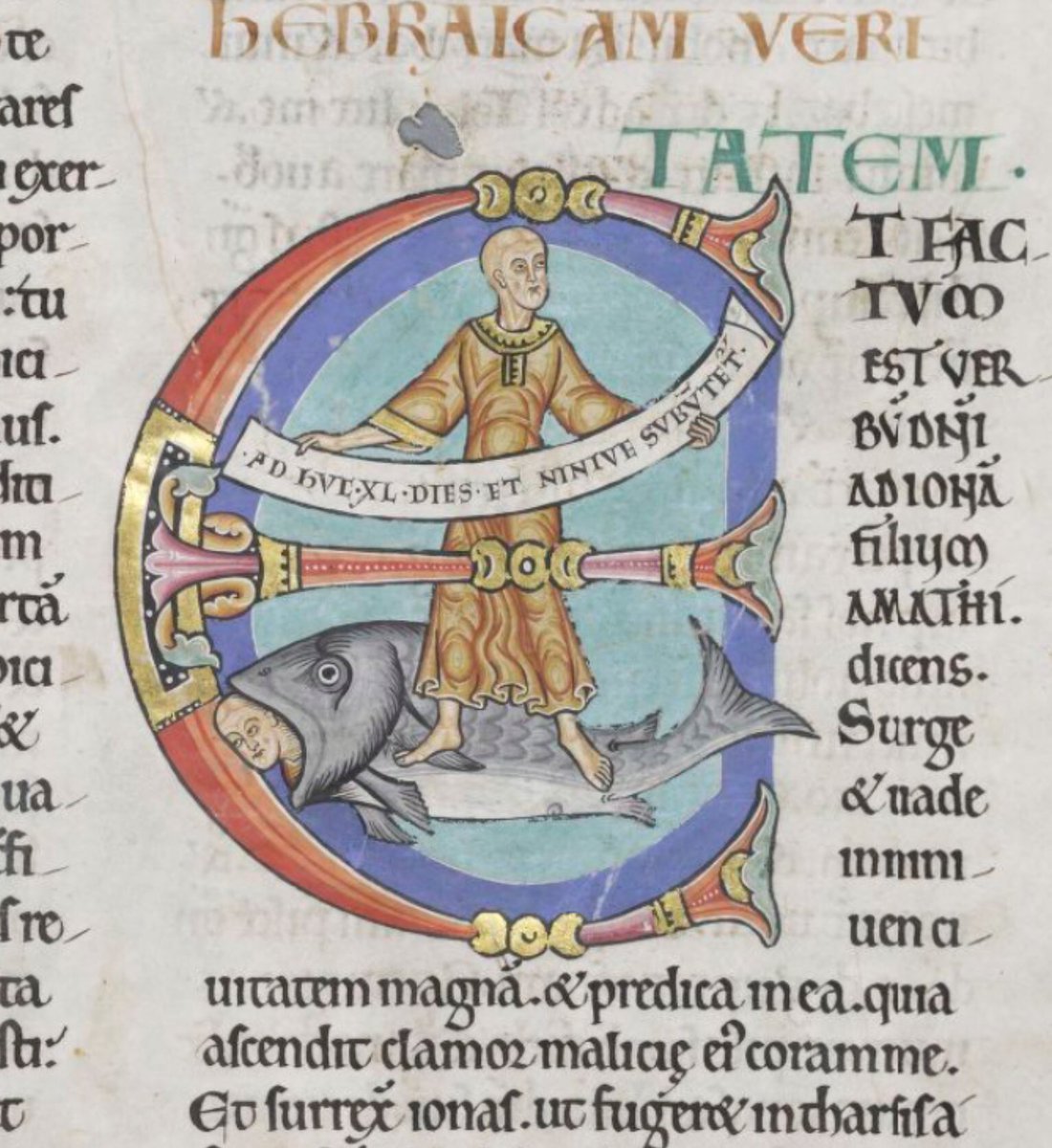 Initial 'E'(t) depicts a bald Jonah holding a scroll: 'Adhuc XL dies et Ninive subvertetur'. Below his feet Jonah's head protrudes from a fish's mouth. #MS003TheDoverBible Cambridge, Corpus Christi College, MS 003; The Dover Bible, Volume I; 12th century; f.262r  @ParkerLibCCCC