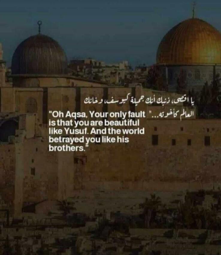 #FreePalestine #MuslimBrotherhood #FreePalestin #ZionismIsRacism