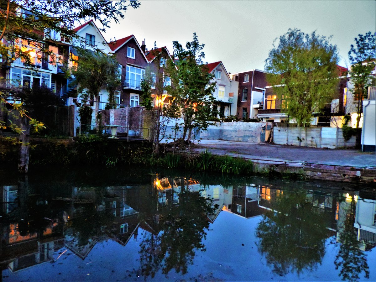 DonnieGreve's tweet photo. "Achter de 'Korte' Kromhout" #MeldpuntVerfraaiing #Spuihaven #Dordrecht https://t.co/pKsofCVtxX