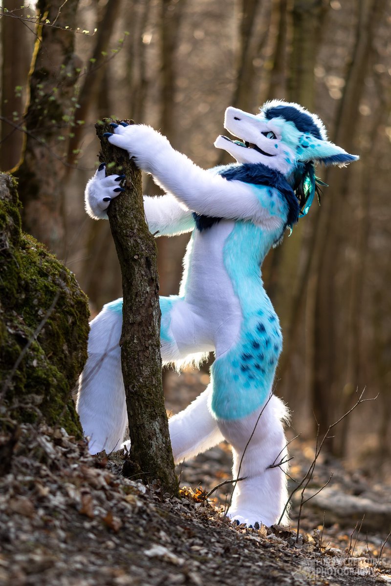 Fionka (@fluffyfionka) on Twitter photo You can now enjoy this blue beast in all its beauty!๐๐ง
โ๏ธ <a href="/Fionka_Fursuits/">๐ Fionka Fursuits ๐</a>
๐ธ <a href="/FurCPhoto/">Furry C. Photo</a> You can now enjoy this blue beast in all its beauty!๐๐ง
โ๏ธ <a href="/Fionka_Fursuits/">๐ Fionka Fursuits ๐</a>
๐ธ <a href="/FurCPhoto/">Furry C. Photo</a>