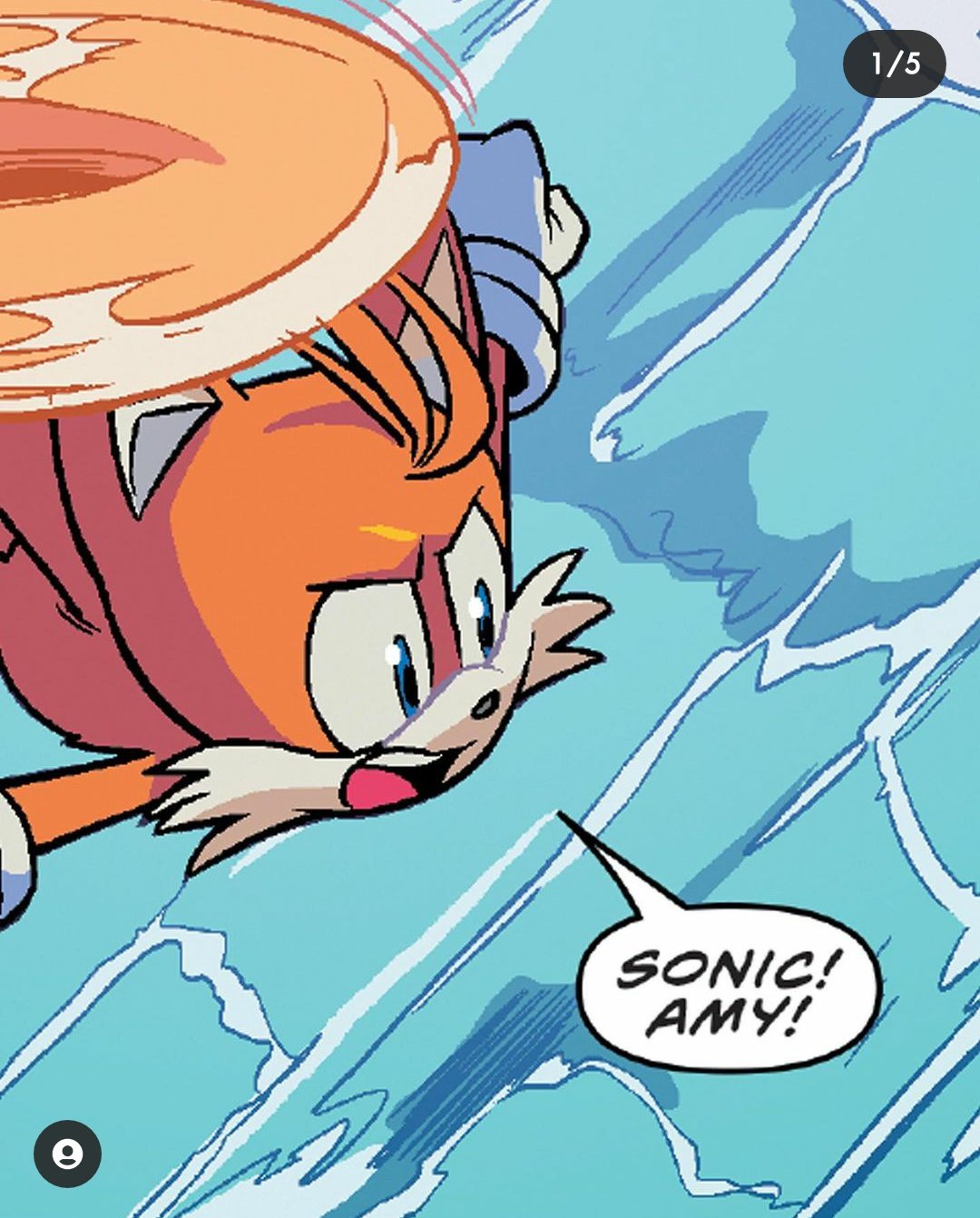 SONIC THE HEDGEHOG #39