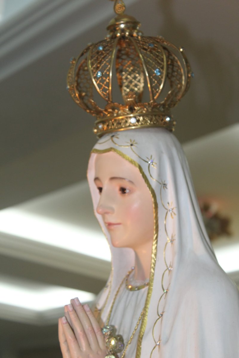 pnsfmanilha's tweet photo. "Oh minha Senhora e também minha Mãe,
Eu me ofereço inteiramente, todo à vós
E em prova da minha devoção, eu hoje vos dou meu coração" 🎼❤

O que você deseja consagrar à Nossa Senhora nesta novena?

#pnsfmanilha #novena #nossasenhoradefatima https://t.co/dg4eBLGOrO