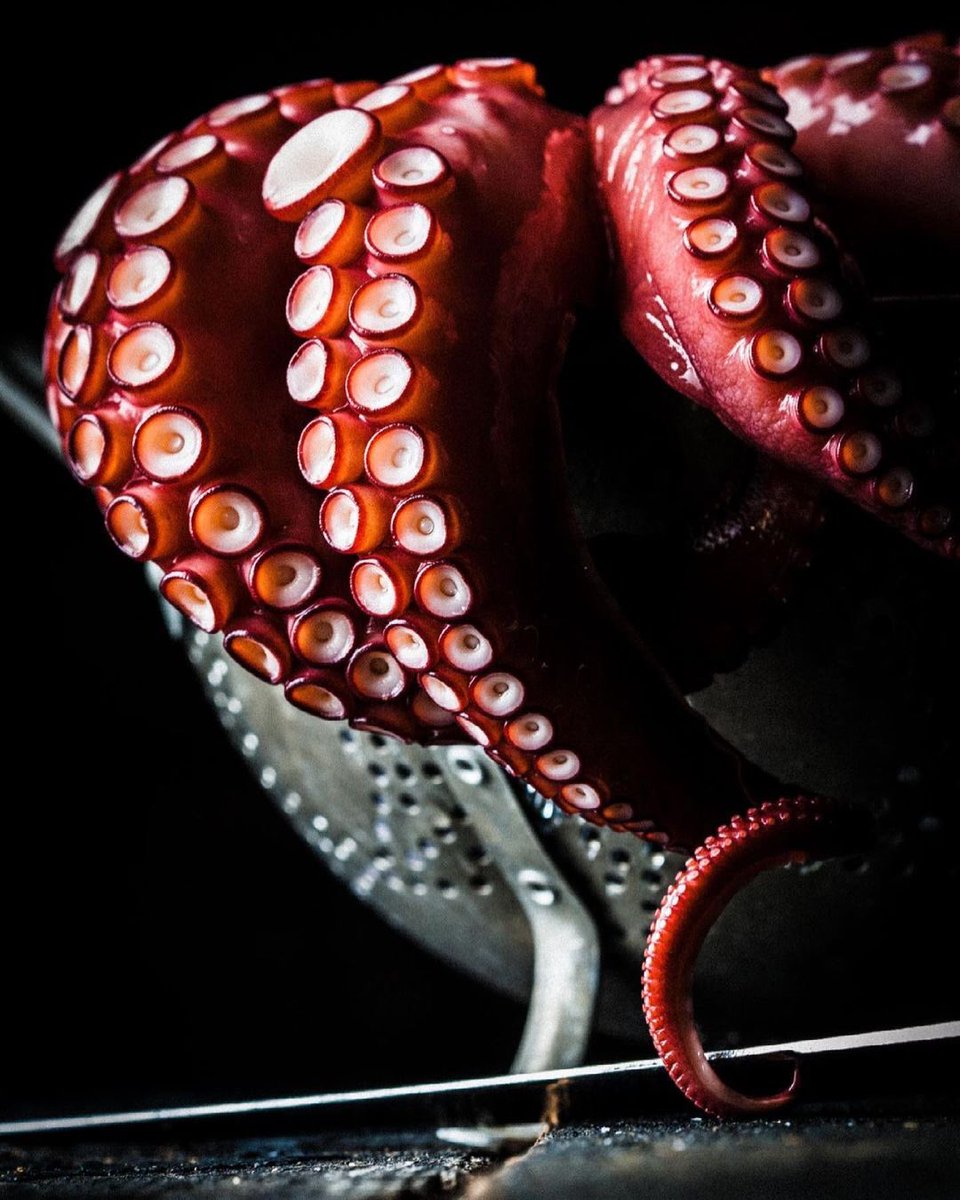 irish_writing's tweet image. If you photograph food for your job, or are an amateur food photographer, consider entering our awards; there is a separate section for both ✨🍴
📷
This image: John Troxell 
✨
#foodwriting #drinkswriting 
#irishfoodwritingawards 
#foodphotography