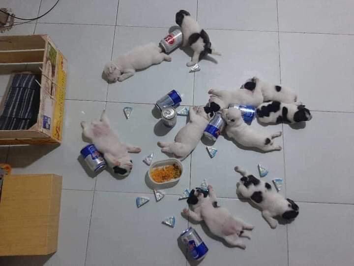 PetsArabic's tweet photo. لحظة انفجار الصاروخ الصيني😥 https://t.co/DwcsxZoHzg