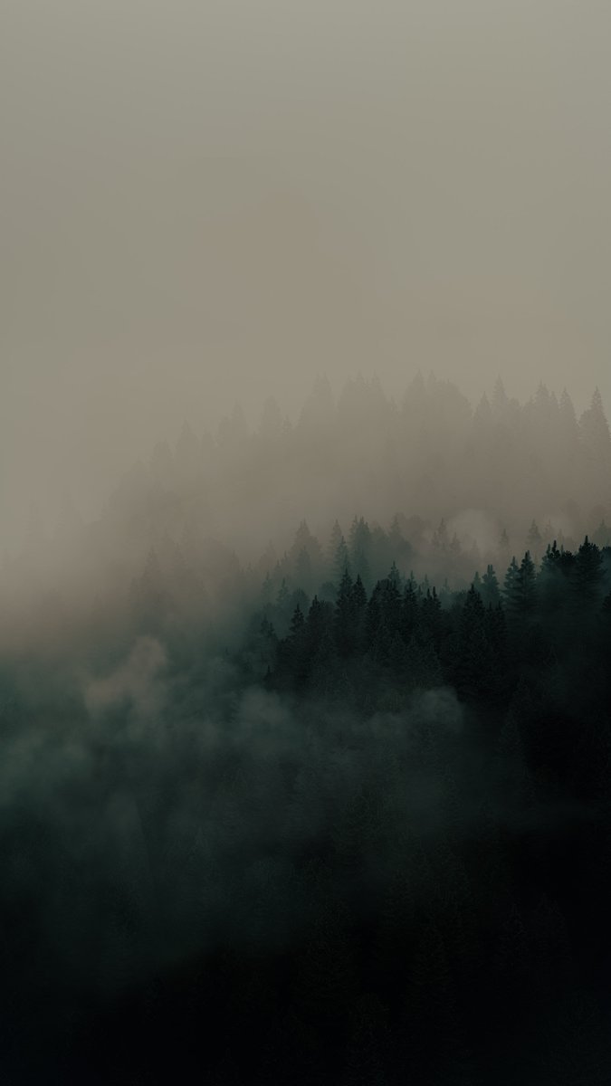 Rowan While tweet media