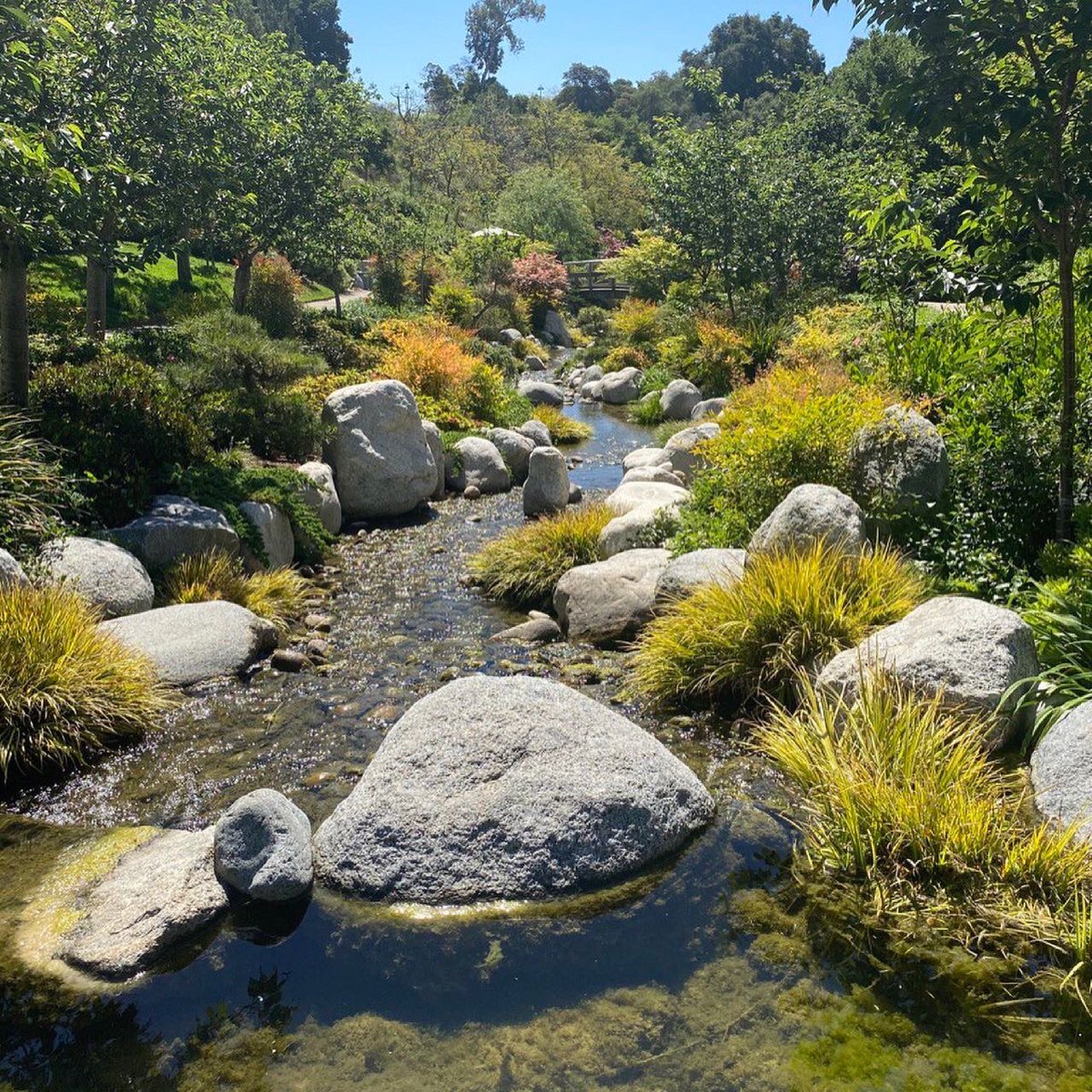 apcgus's tweet photo. Jardín Otaku... digo Japonés https://t.co/5cK4l1T3qa