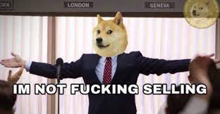 Crypto Pup tweet media