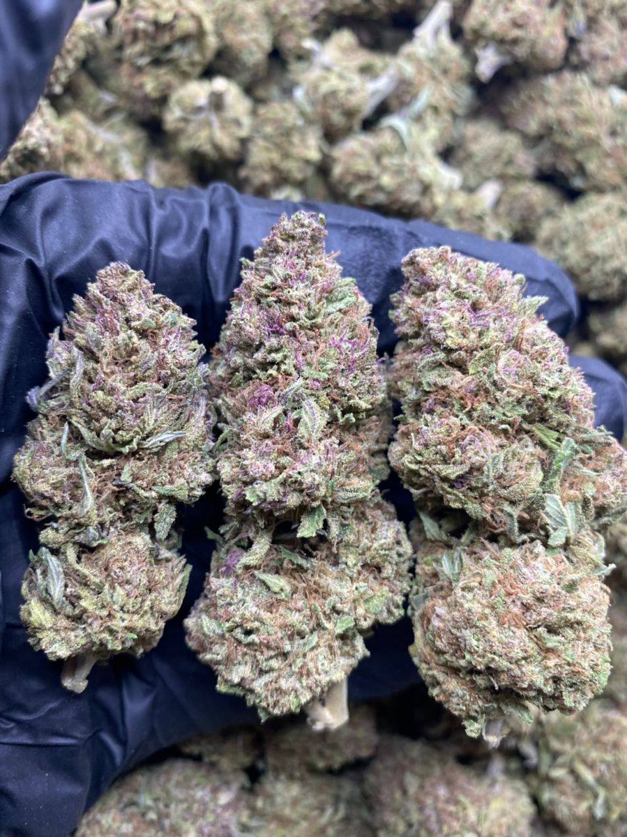 jamespluger's tweet image. Local and international delivery. 
#BarcaAtleti #MothersDay #Palestine #CHEMCI #AlAqsaUnderAttack #HappyMothersDay #IsraeliAttackonAlAqsa #Ruto #Israel #MasjidAlAqsa #BoycottIsrael #happymothersday2021 #icanseeyourvoice #indianidol #방탄소년단진