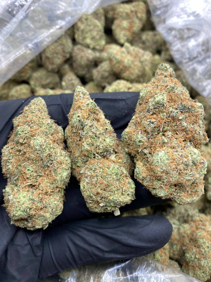 jamespluger's tweet image. Local and international delivery. 
#BarcaAtleti #MothersDay #Palestine #CHEMCI #AlAqsaUnderAttack #HappyMothersDay #IsraeliAttackonAlAqsa #Ruto #Israel #MasjidAlAqsa #BoycottIsrael #happymothersday2021 #icanseeyourvoice #indianidol #방탄소년단진