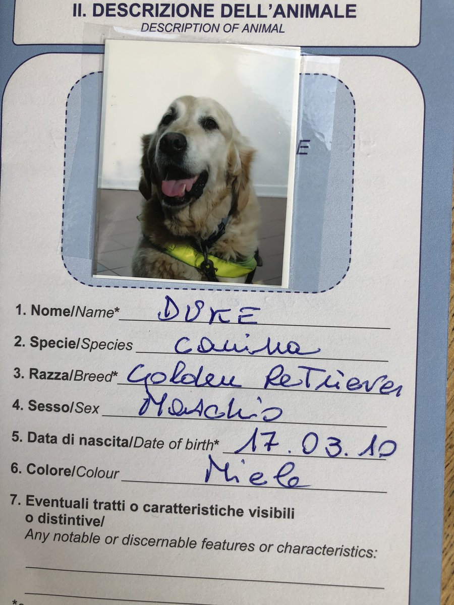 On #sundaymiscellany 9/5/21, an emergency pet passport, close encounters with the art police, + the remarkable story of Father Joseph Mallin, son of a 1916 leader @TomClonan Clodagh O'Donoghue Chris McHallem @nellree JM Dolan Vincent Woods Tune in! 9.10am @RTERadio1 @RTE_Culture