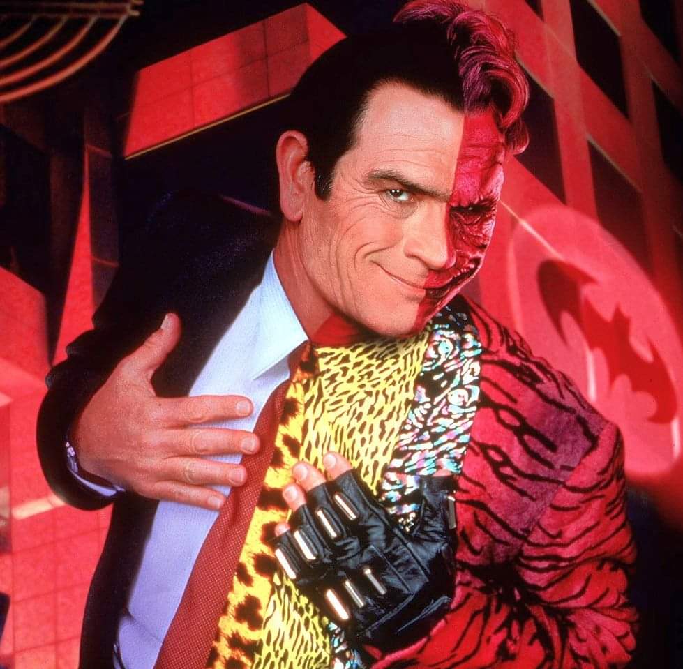 Two Face Tommy Lee Jones(04)