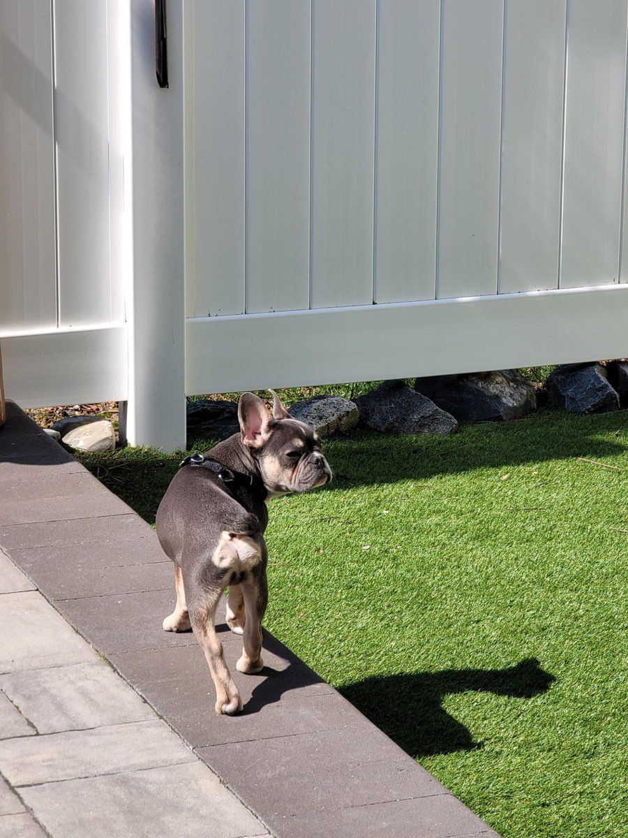 therealDre_Al's tweet image. Kobe Lorenzo photo dump! 💜💛💙 #LLJ #LLKB