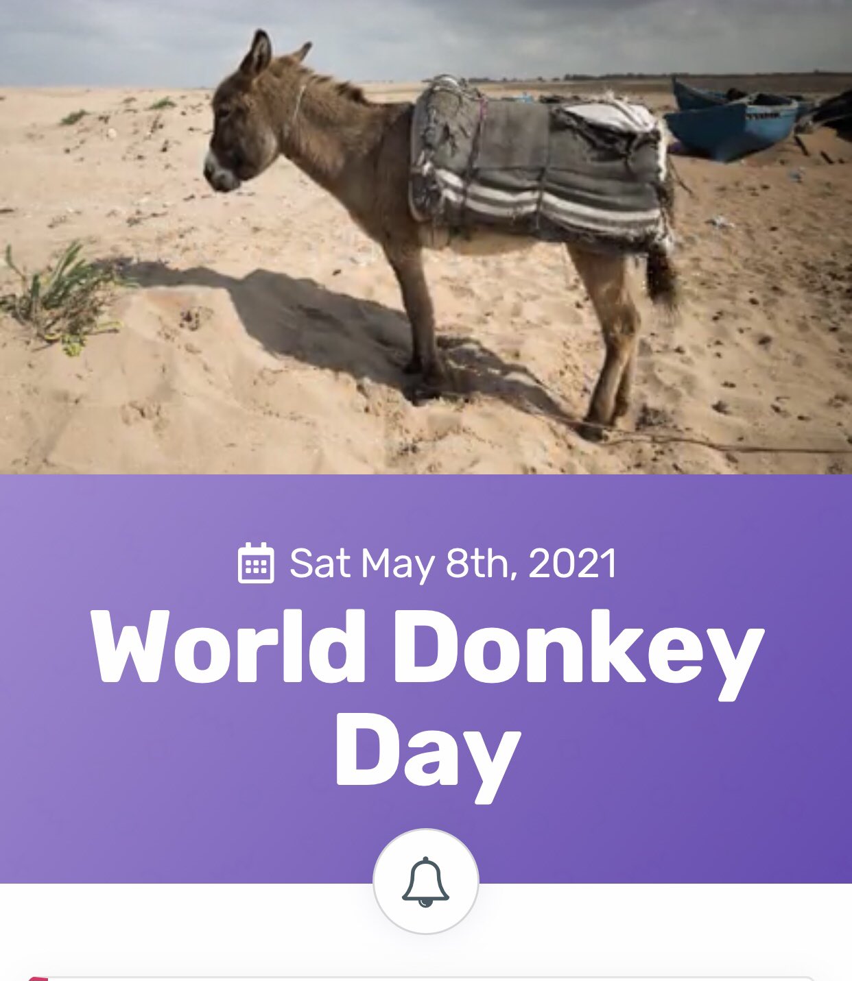    And it s world donkey day... so happy birthday to the wee donkey as well 