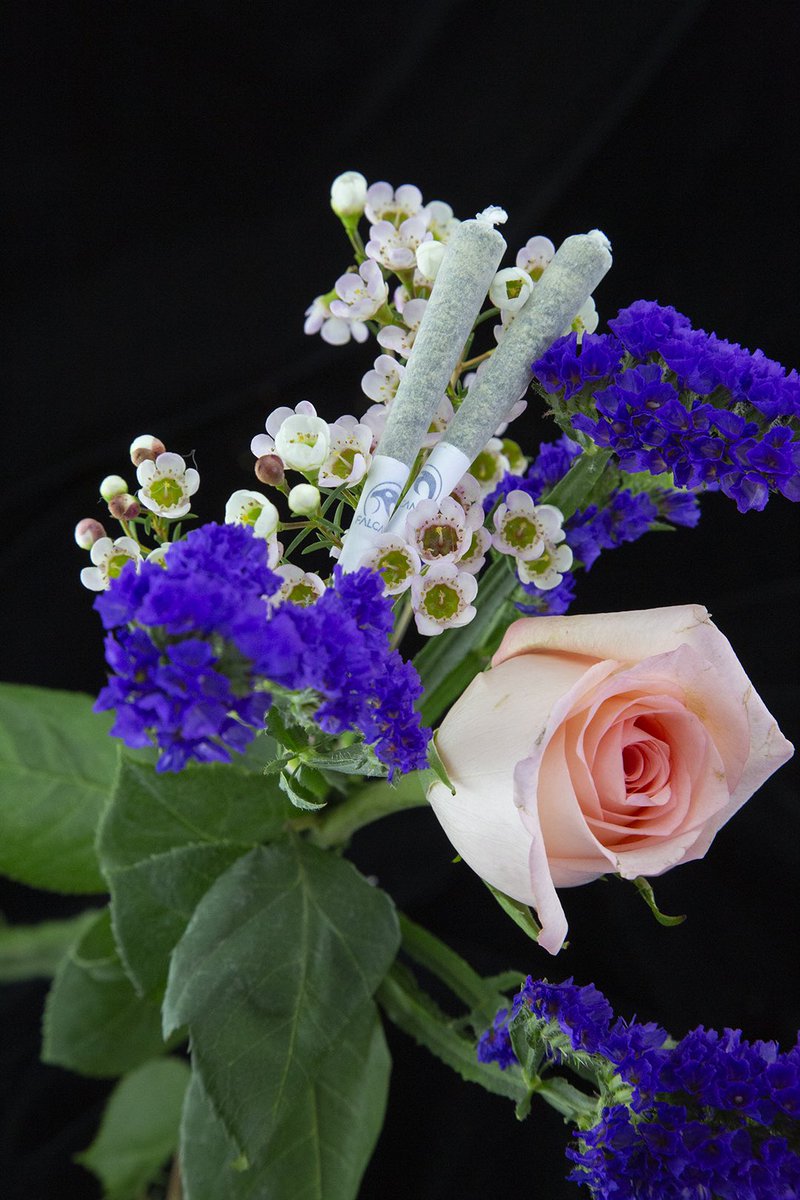 Happy Mother’s Day weekend 💙😊