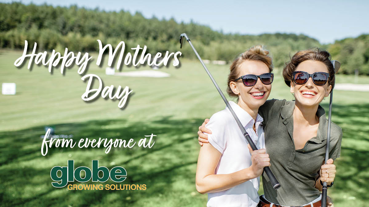 GlobeTurf tweet media