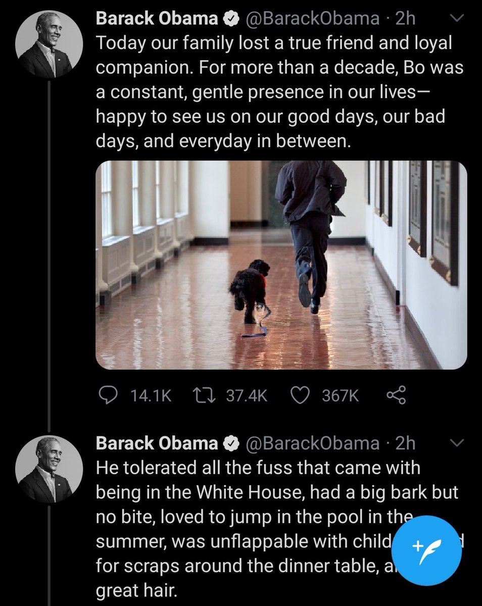 Look I get that Obama is charming. I really do. But for his entire two terms he perpetuated the forever war that resulted in unforgivable loss of innocent human life.I'm not saying he can't be sad. I just think we as a society should really think about this.