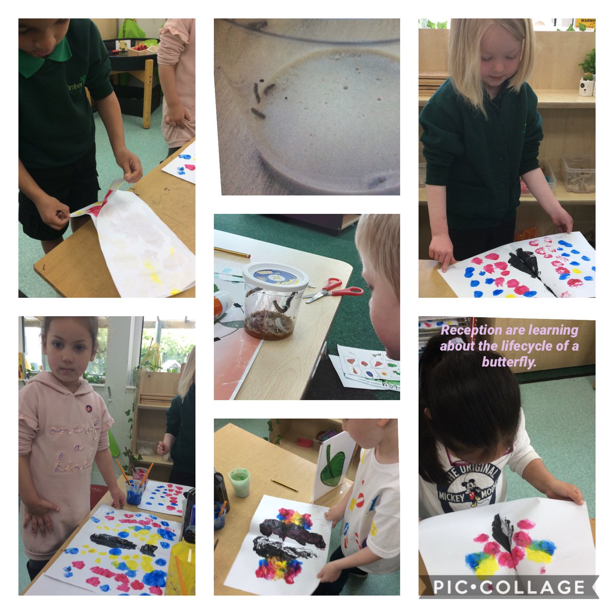 TimbertreeEYFS tweet media