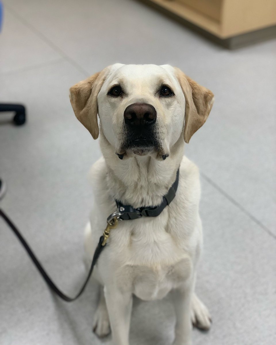 nann3rz's tweet photo. I love my job!!! 🥰 #futurevettech https://t.co/FjncMUkO1c