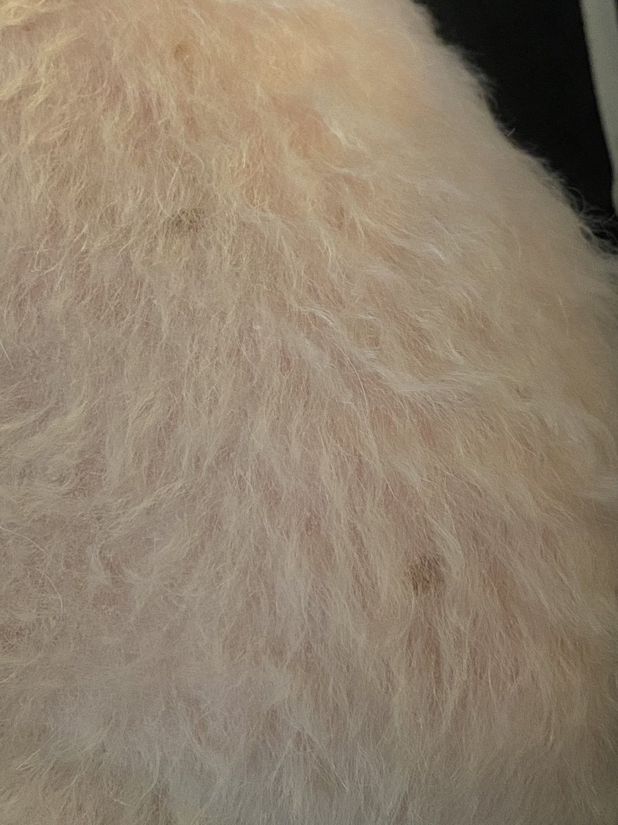 Does anyone know what these dark round marks are on my baby’s body? They just appeared one day. He doesn’t complain about them. Just a worried mama.