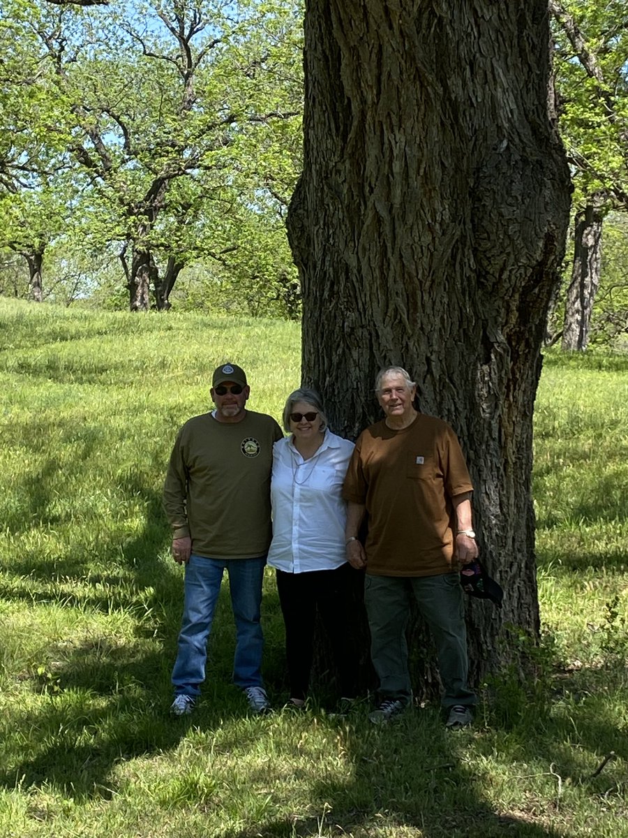 meltcoll's tweet photo. @TracesofTexas Just visited this one in San Saba that my grandmother camped under when she was younger. https://t.co/2AEkPphRXs