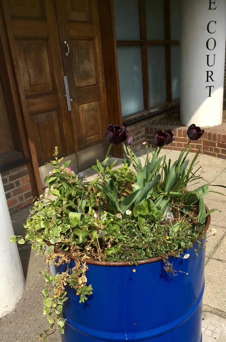 Greener Bermondsey tweet media