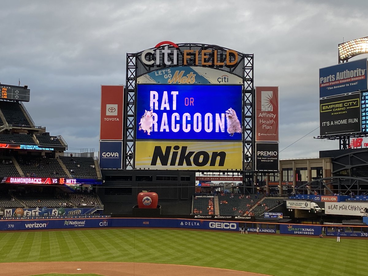 EvanRobertsWFAN's tweet image. Mets embracing it