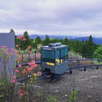 ツイートに含まれる画像