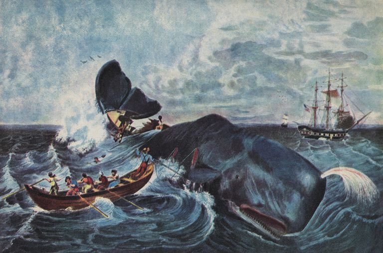 1. When the whale blubber salesmen heard rumours of oceans of oil being sucked out of the ground in the 1800’s, I’m sure many of them called it a scam & a threat to the economy. Legacy institutions rarely welcome their being made redundant with open arms.  $ADA   #cardano