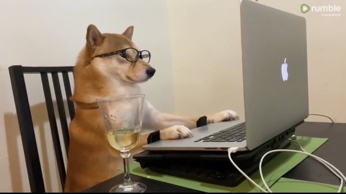 Coinsquare's tweet photo. Checking #dogecoin every 5 minutes like https://t.co/M1v0E92HZt
