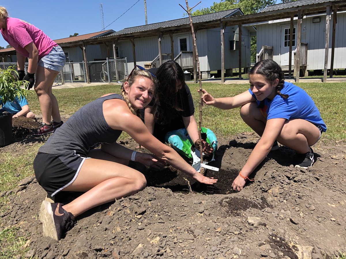 RRichardson001's tweet photo. Such an AWESOME day! We put in blueberries, raspberries, grapes, muscadines, peaches, apples, and figs!  Gardening rocks...sometimes literal rocks...they get in the way...so does rock-hard soil! #thestjamesway #sjmsharks #sharpsharks #sjmgarden https://t.co/JJOfWfMtNG