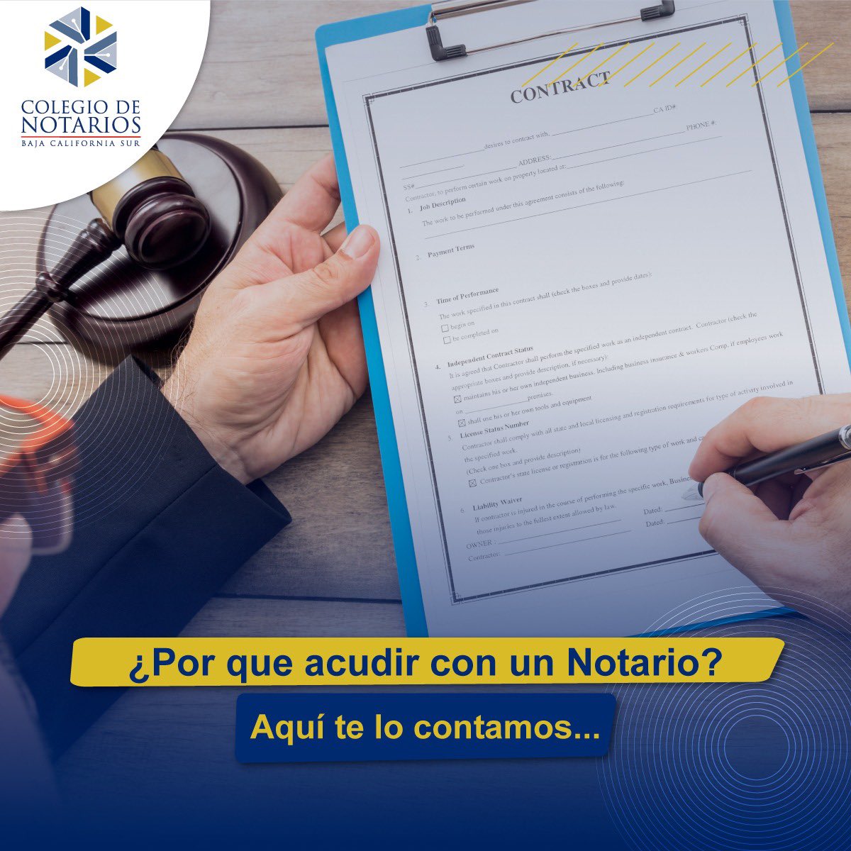 Por los siguientes trámites que solo el Notario puede realizar 👇🏼
✅Testamentos y tramitación de herencias, incluyendo intestados.
✅Contratos de diversa índole.
✅Transmisiones de propiedad.
Otorgamiento de hipotecas.
✅Donación de órganos y documentos de voluntad anticipada.