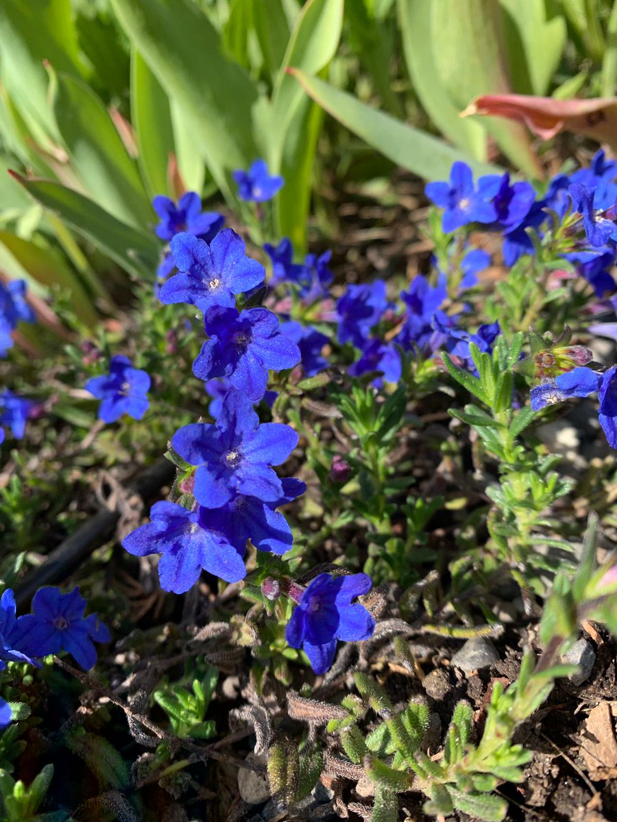 Yolanda Ferrer Gómez 🇨🇺 tweet media