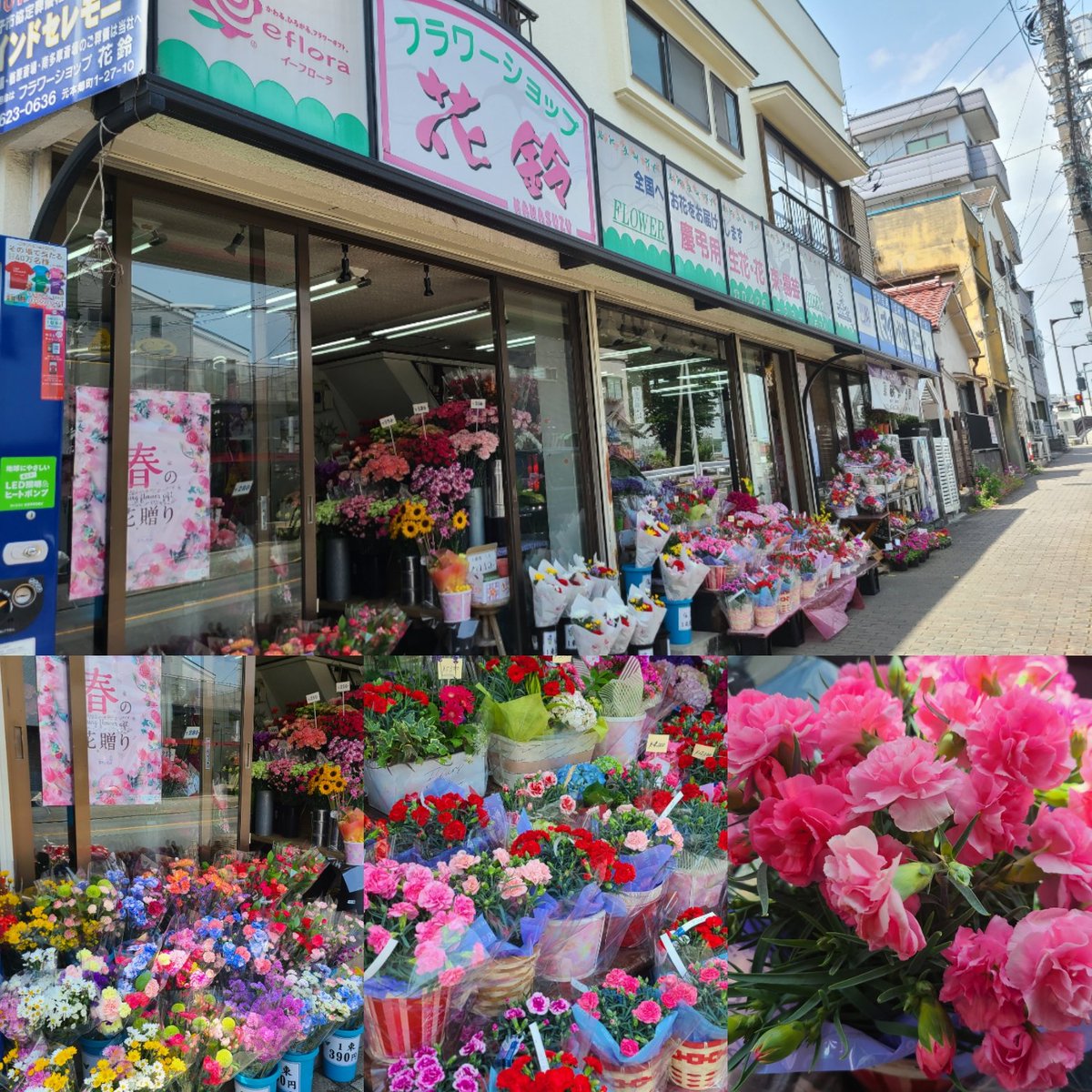 にしむろ真希 商店街 飲食店応援 花鈴 八王子市元本郷町１ ２７ １０ T Co Xzk9irbmis まちのお花屋さん 秋川街道沿い平岡町バス停前 八王子市役所の近くのお花屋さんです 種類豊富で様品物をお安く カーネーションが沢山並んで