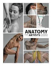 一か月前から20パーセントも下がってる⁈Anatomy for  A visual guide to the human form (3d Total Pub) 