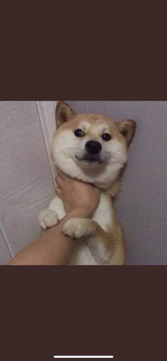 Anlık #dogecoin yatırımcıları #dogetothemoon  @VedatYldrm_07