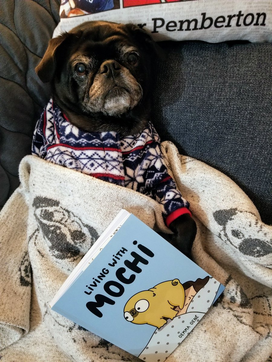 MisterPemberto1's tweet photo. So excited for my bedtime story tonight...with a new book, Mochi...by @157ofgemma π€©ππ #pug #puglife #pugs #pugsoftwitter #dogsoftwitter #bedtimestory #reading #books #pugbook https://t.co/OGgZ1MPeyQ