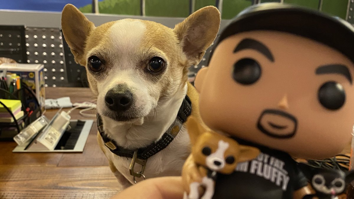 RT 4 ur chance to WIN a signed #FluffyFunko from FluffyGuy.com 😁