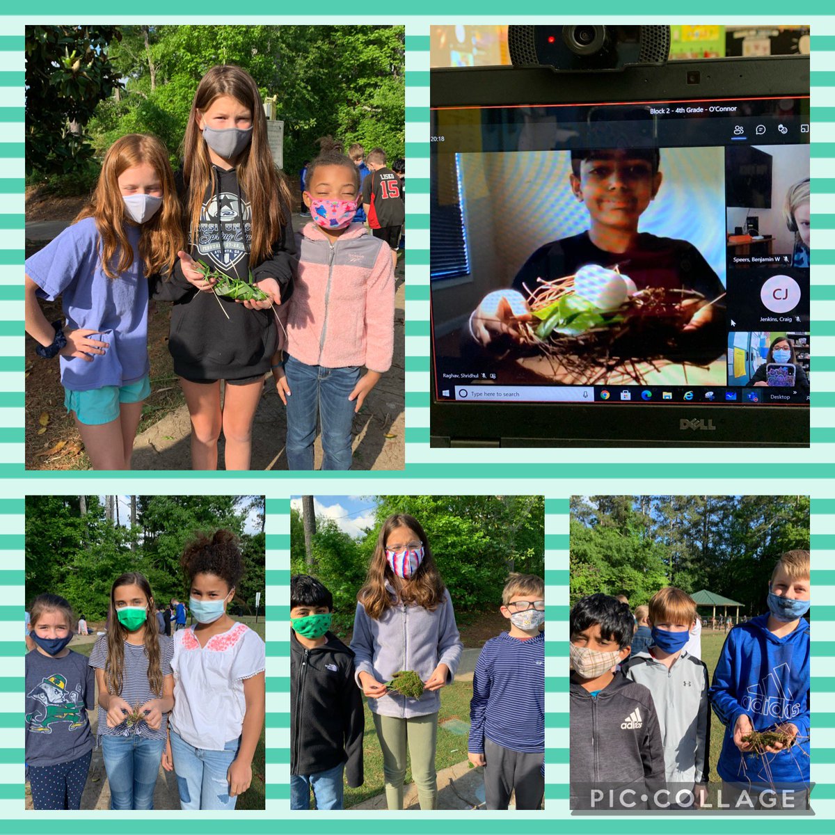a_oconnor10's tweet photo. 4Th Grade Stem Day!!Great job making birds nests that will hold three eggs! @dr_cheatham @mremoryrawlings @CCES_Colts_PTO https://t.co/MSFyovNwfY