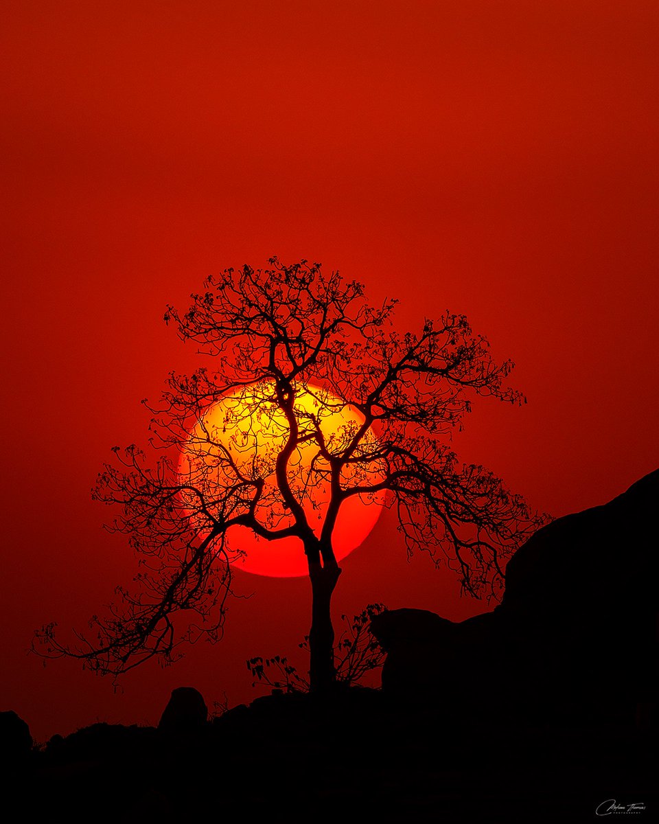 pix4cause's tweet photo. This image is available on https://t.co/0QDZAcjaYc.
The proceeds from the sale of these images will be used to help people facing genuine hardship and are directly engaged in the service of Indian wildlife.
P.C. Mohan Thomas https://t.co/rLSYntrSAs
