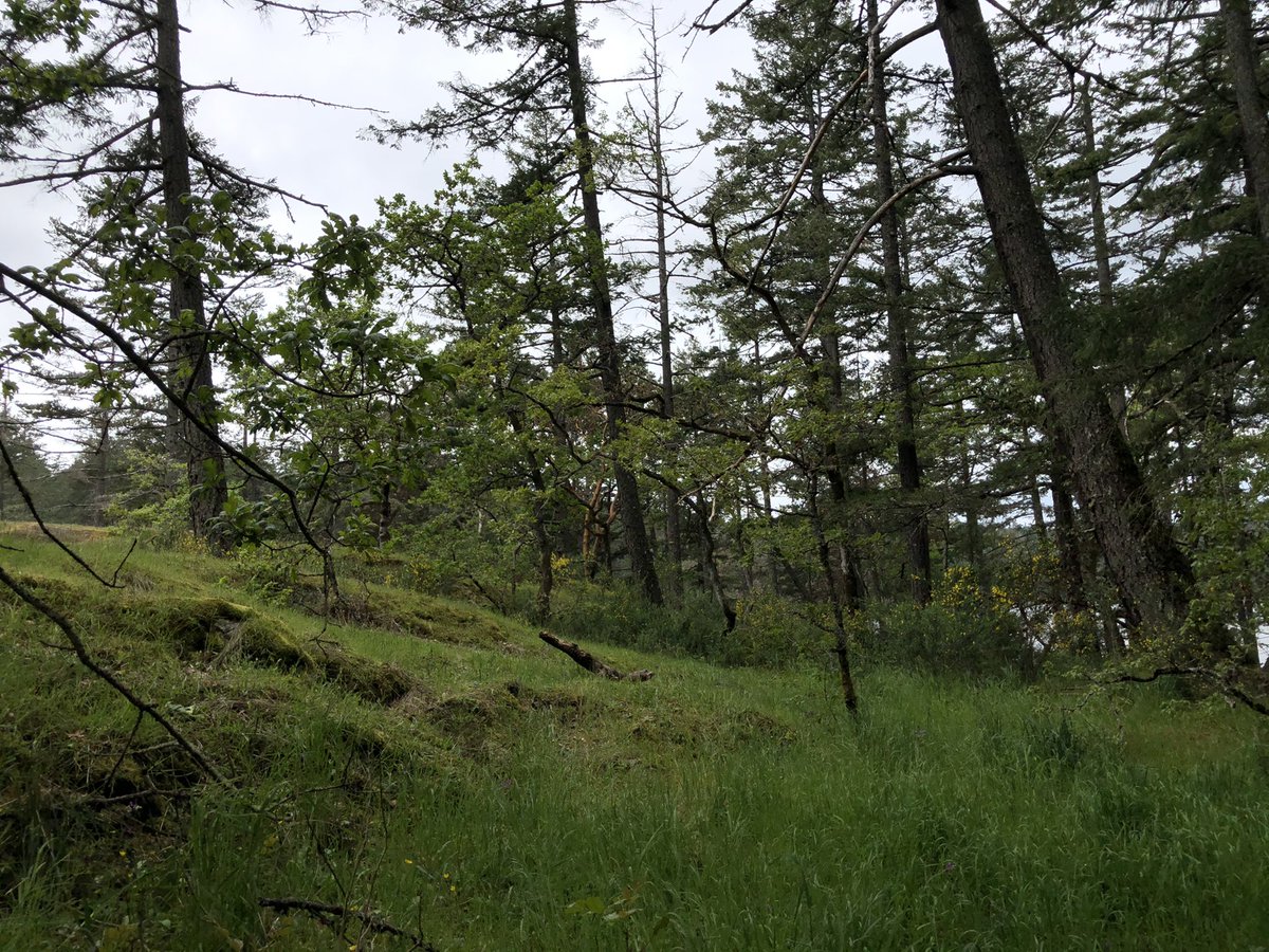 Katharine tweet media