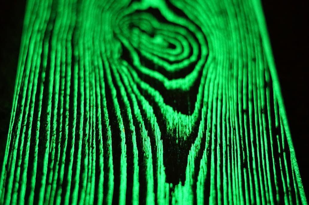 CMongallo's tweet photo. https://t.co/Nx4NGE6vuc prefinished wood flooring that glows in the dark #Architect #architecture #art #artdeco #ElonMusk #artistsontwitter #artwork #construction #wood #Plank #ALTSEASON https://t.co/zm7ytquHcx