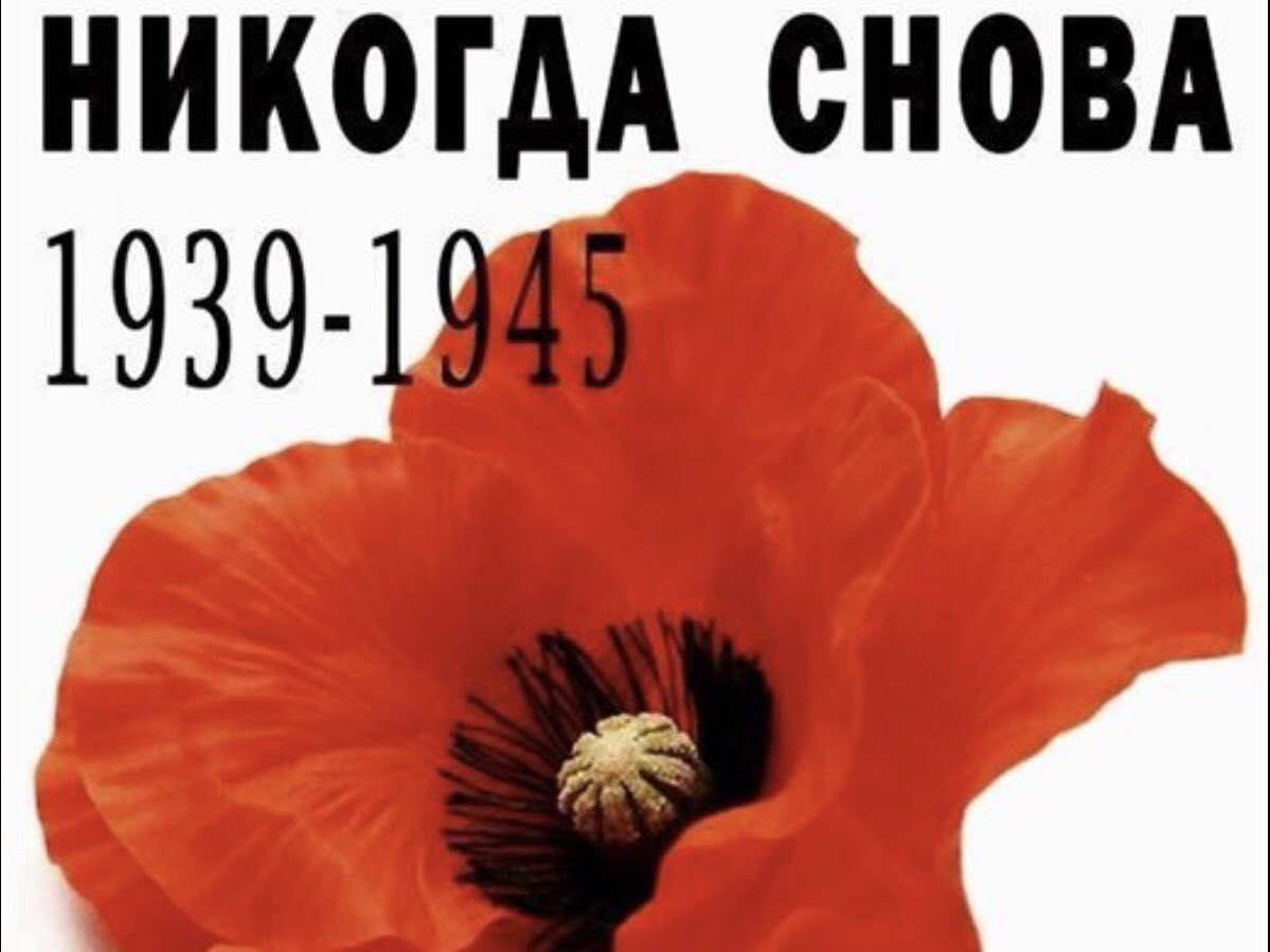 der104's tweet image. Never again.