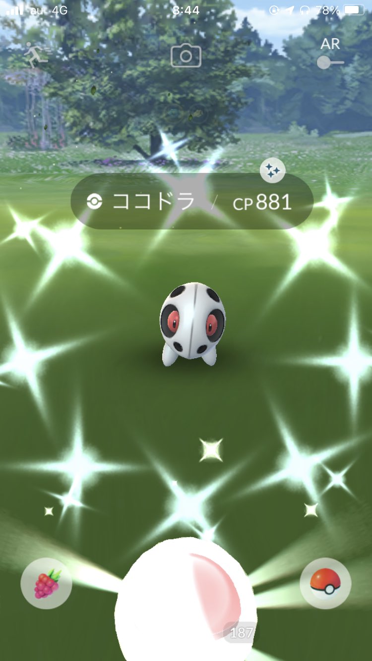 تويتر ｸﾘﾎﾞ على تويتر マリルイベント終了 ココドラ マリル3匹 ポケモンgo Pokemongo Shinypokemon 色違い マリル T Co L455vhwpar