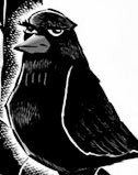 kasugaicrow's tweet photo. ༄ ᴋᴀsᴜɢᴀɪ ᴄʀᴏᴡ ғᴀᴄᴛs ༄
𝑎𝑠 𝑡𝑜𝑙𝑑 𝑏𝑦 𝑡ℎ𝑒 𝑏𝑒𝑠𝑡 𝑏𝑖𝑟𝑏 (thread) https://t.co/qkiMo8BJ7F